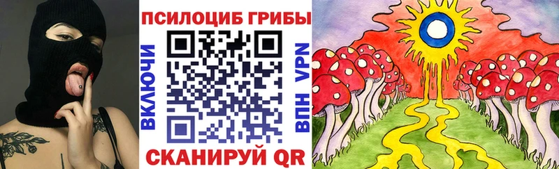 Псилоцибиновые грибы Cubensis  где можно купить   Великий Новгород 